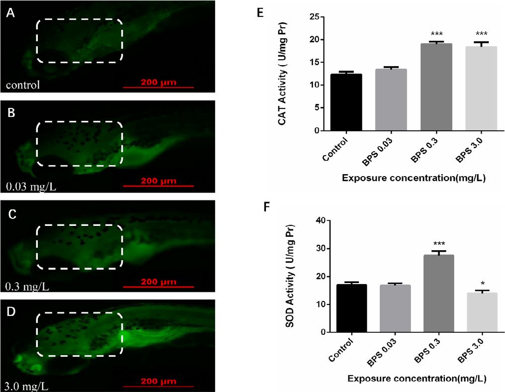 无处不在的双酚S（BPS）真的是安全无毒害的吗？ – 诺达思